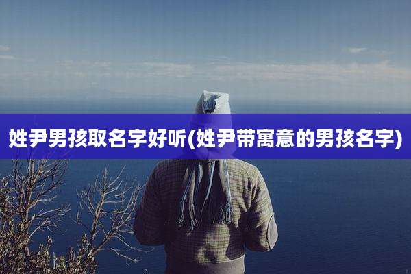 姓尹男孩取名字好听(姓尹带寓意的男孩名字)