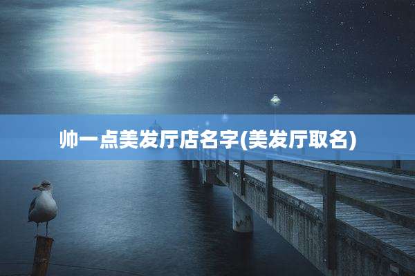 帅一点美发厅店名字(美发厅取名)