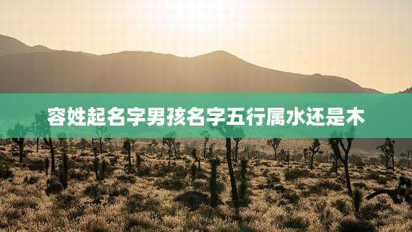 容姓起名字男孩名字五行属水还是木