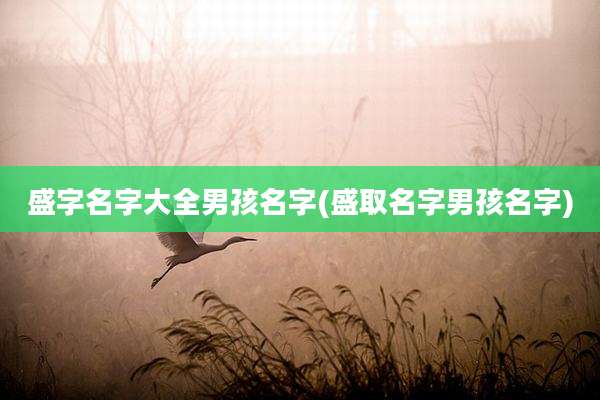 盛字名字大全男孩名字(盛取名字男孩名字)