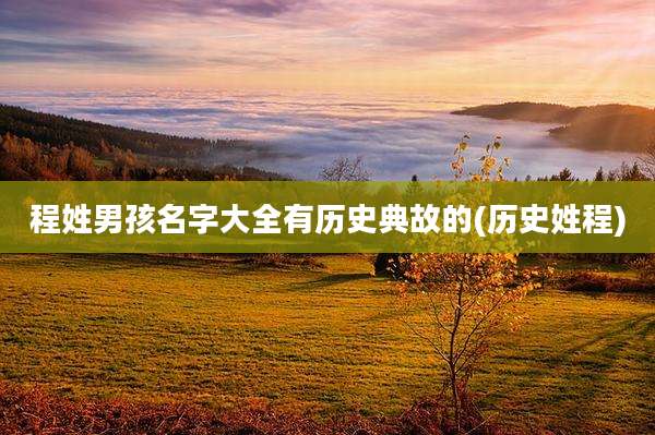 程姓男孩名字大全有历史典故的(历史姓程)