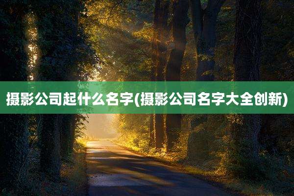 摄影公司起什么名字(摄影公司名字大全创新)