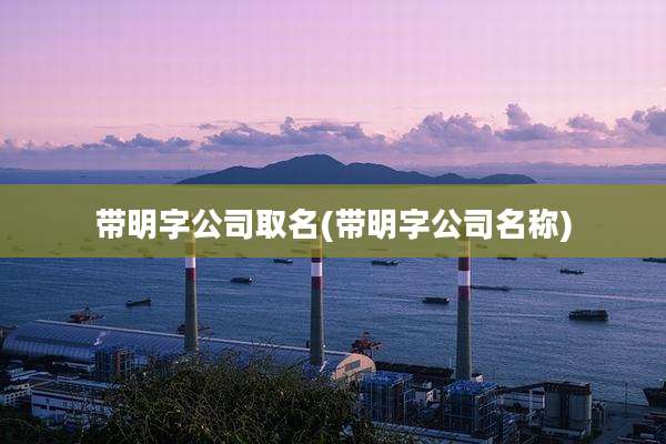 带明字公司取名(带明字公司名称)