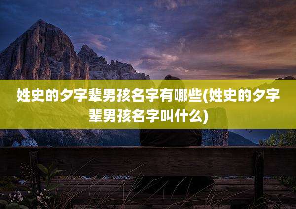 姓史的夕字辈男孩名字有哪些(姓史的夕字辈男孩名字叫什么)