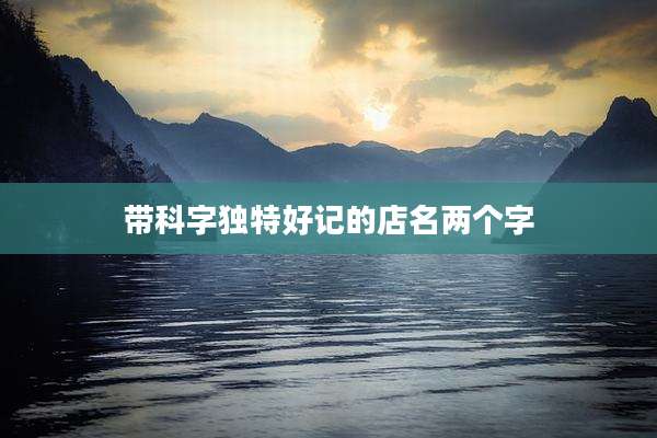 带科字独特好记的店名两个字