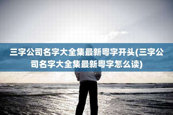 三字公司名字大全集最新粤字开头(三字公司名字大全集最新粤字怎么读)