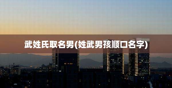 武姓氏取名男(姓武男孩顺口名字)