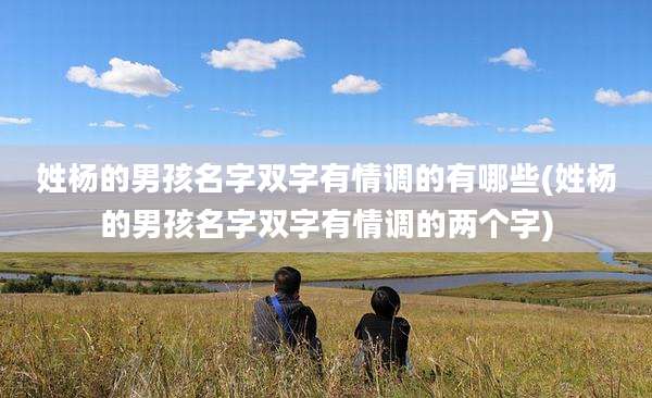 姓杨的男孩名字双字有情调的有哪些(姓杨的男孩名字双字有情调的两个字)