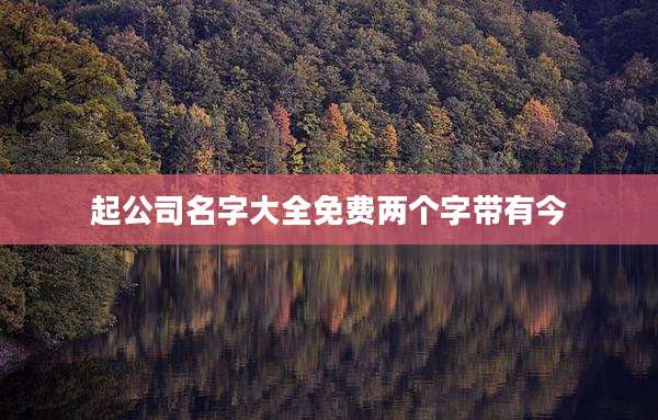 起公司名字大全免费两个字带有今