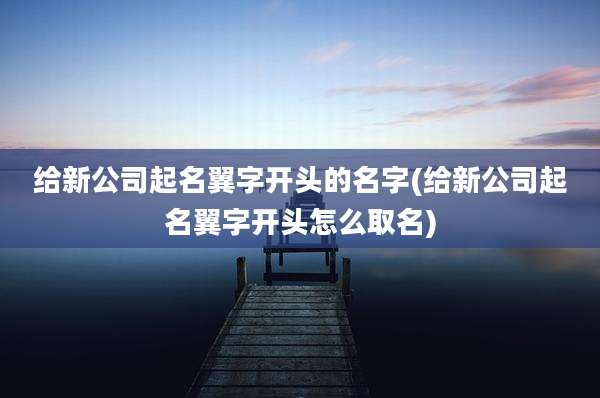 给新公司起名翼字开头的名字(给新公司起名翼字开头怎么取名)