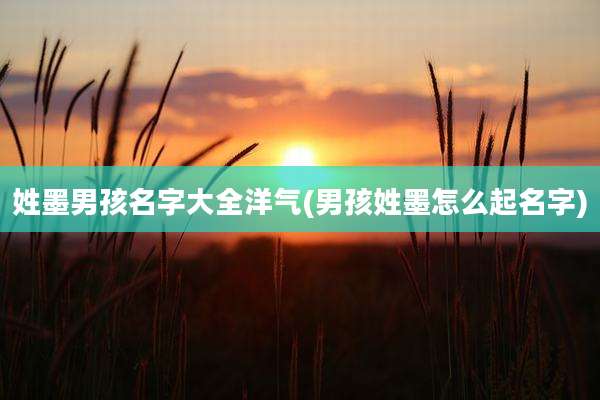 姓墨男孩名字大全洋气(男孩姓墨怎么起名字)