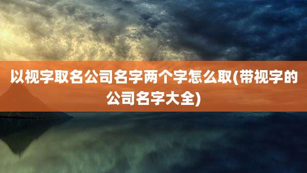 以视字取名公司名字两个字怎么取(带视字的公司名字大全)