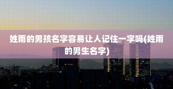 姓雨的男孩名字容易让人记住一字吗(姓雨的男生名字)
