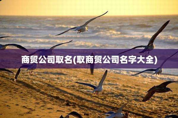 商贸公司取名(取商贸公司名字大全)