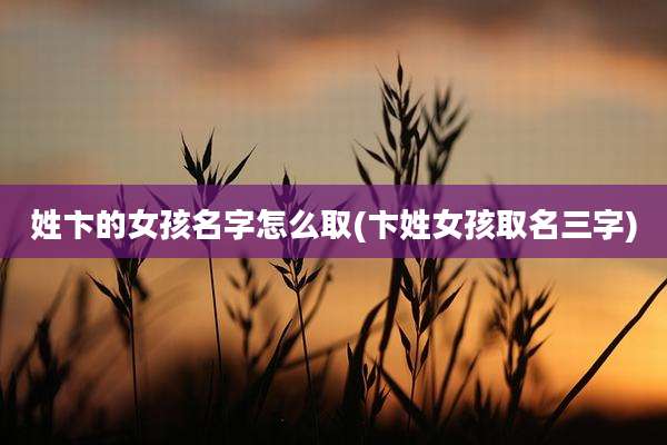 姓卞的女孩名字怎么取(卞姓女孩取名三字)