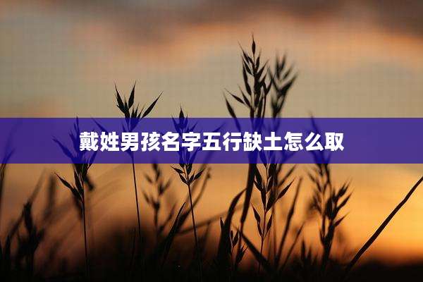 戴姓男孩名字五行缺土怎么取