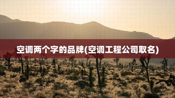 空调两个字的品牌(空调工程公司取名)