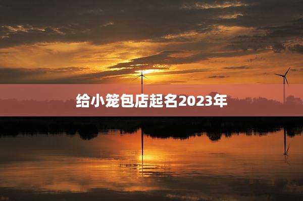 给小笼包店起名2023年