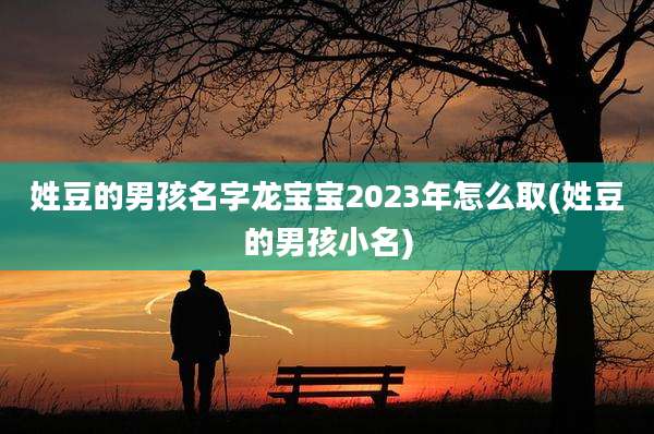姓豆的男孩名字龙宝宝2023年怎么取(姓豆的男孩小名)