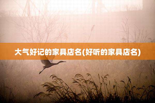 大气好记的家具店名(好听的家具店名)