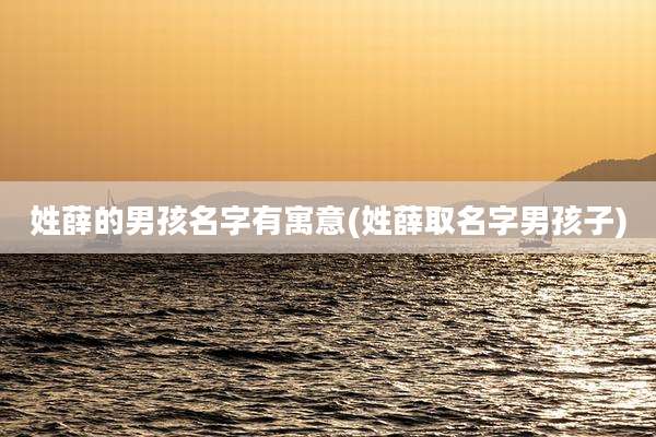 姓薛的男孩名字有寓意(姓薛取名字男孩子)
