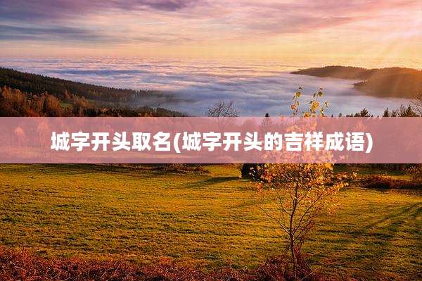 城字开头取名(城字开头的吉祥成语)