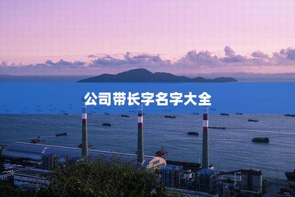 公司带长字名字大全