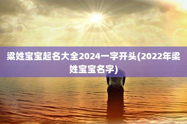 粱姓宝宝起名大全2024一字开头(2022年梁姓宝宝名字)