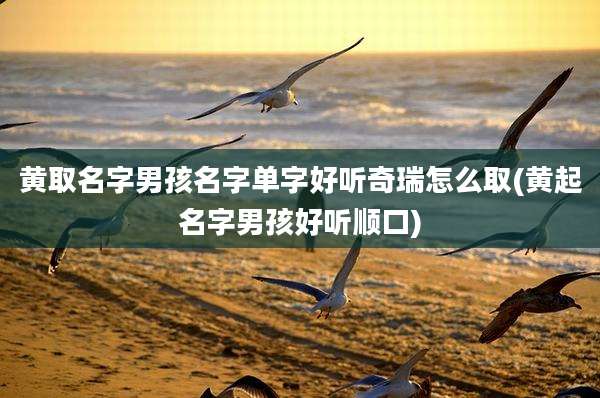 黄取名字男孩名字单字好听奇瑞怎么取(黄起名字男孩好听顺口)