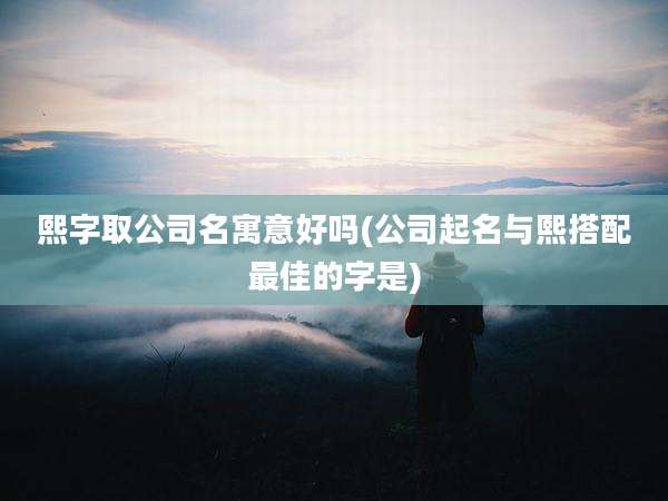 熙字取公司名寓意好吗(公司起名与熙搭配最佳的字是)