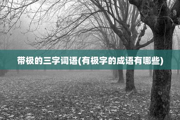 带极的三字词语(有极字的成语有哪些)