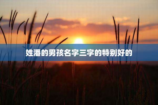 姓潘的男孩名字三字的特别好的