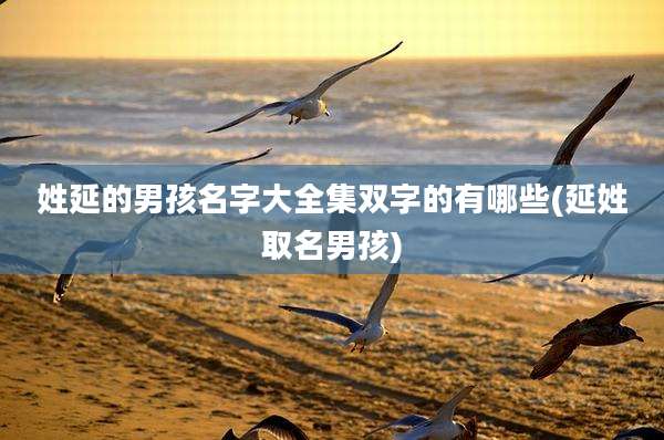 姓延的男孩名字大全集双字的有哪些(延姓取名男孩)