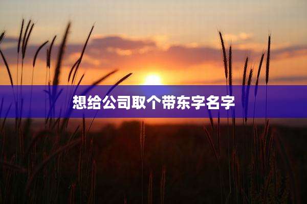 想给公司取个带东字名字