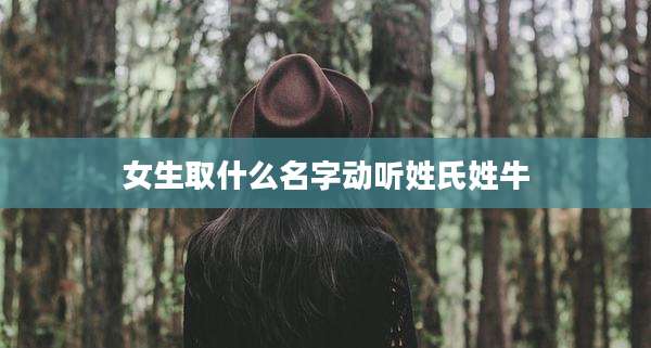 女生取什么名字动听姓氏姓牛