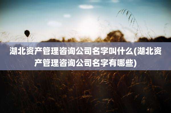 湖北资产管理咨询公司名字叫什么(湖北资产管理咨询公司名字有哪些)