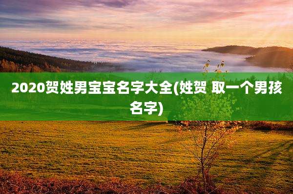 2020贺姓男宝宝名字大全(姓贺 取一个男孩名字)
