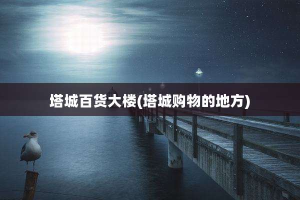 塔城百货大楼(塔城购物的地方)