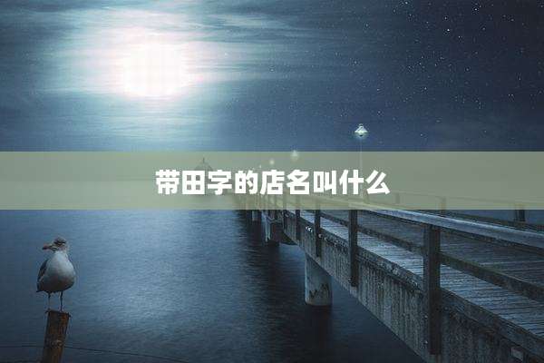 带田字的店名叫什么