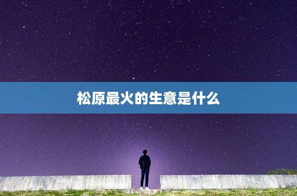 松原最火的生意是什么