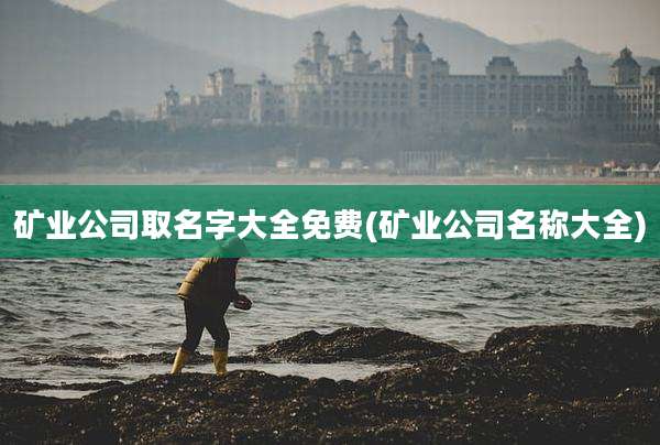 矿业公司取名字大全免费(矿业公司名称大全)