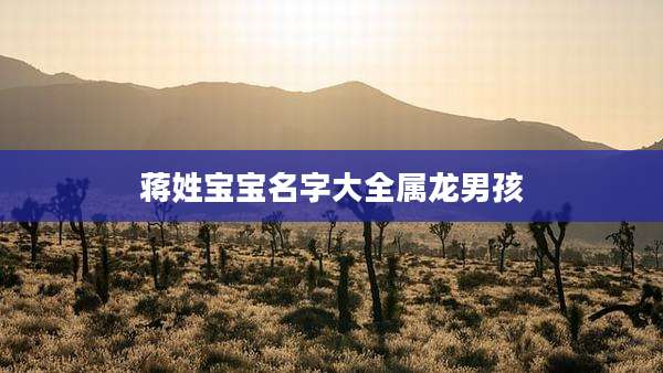 蒋姓宝宝名字大全属龙男孩