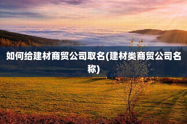 如何给建材商贸公司取名(建材类商贸公司名称)