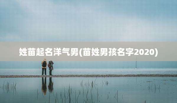 姓苗起名洋气男(苗姓男孩名字2020)