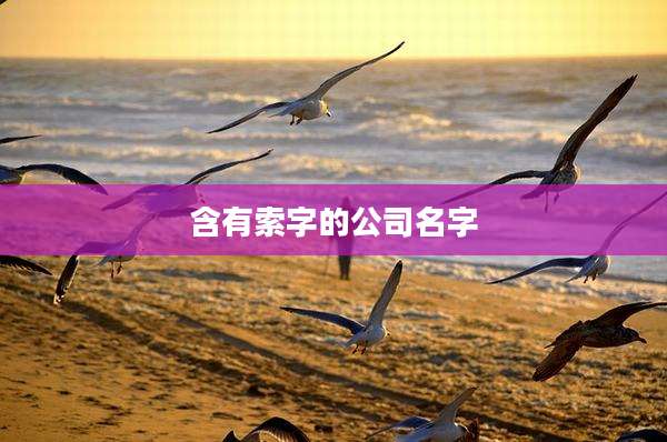 含有索字的公司名字