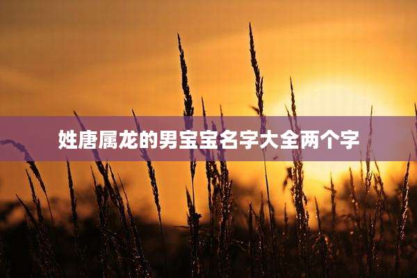 姓唐属龙的男宝宝名字大全两个字