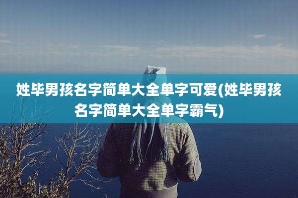 姓毕男孩名字简单大全单字可爱(姓毕男孩名字简单大全单字霸气)