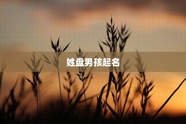 姓盘男孩起名