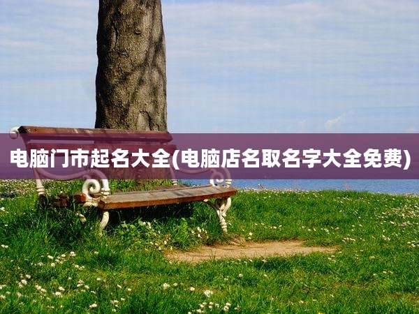 电脑门市起名大全(电脑店名取名字大全免费)