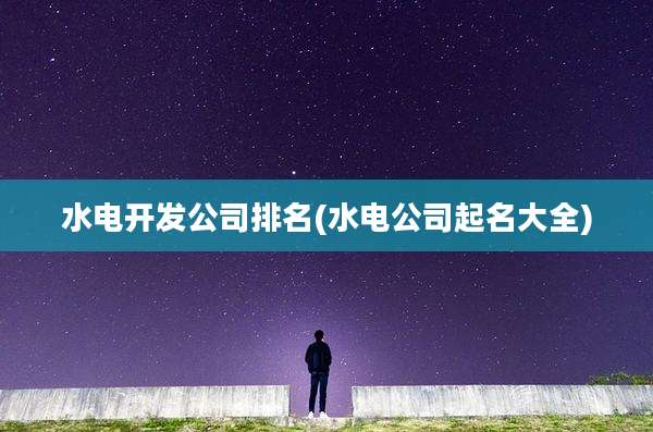 水电开发公司排名(水电公司起名大全)